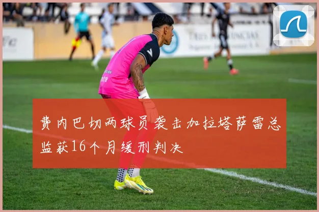 费内巴切两球员袭击加拉塔萨雷总监获16个月缓刑判决