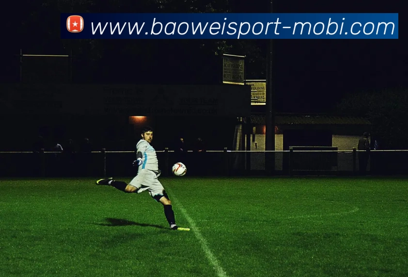 宝威体育APP 封面图