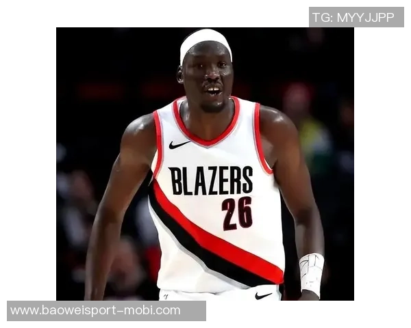 开拓者三名中锋缺阵鹈鹕领先里斯表现低迷普尔替补贡献13分